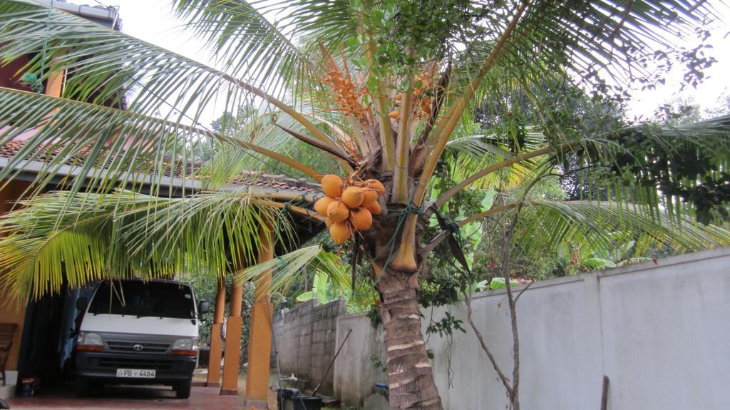 Ranith Villa Tangalle Ngoại thất bức ảnh